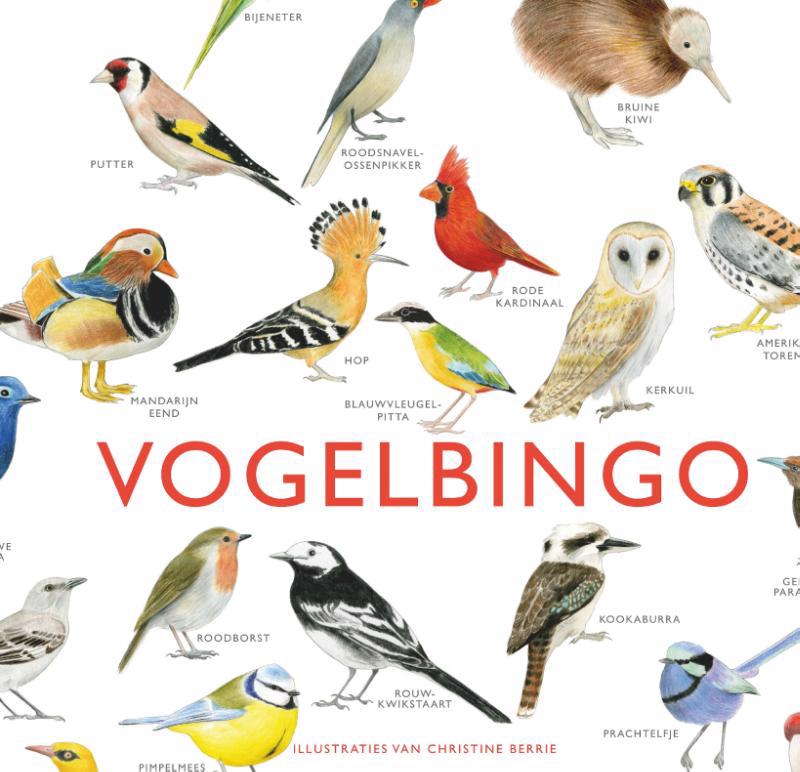De voorkant van het boek met de titel : Vogelbingo