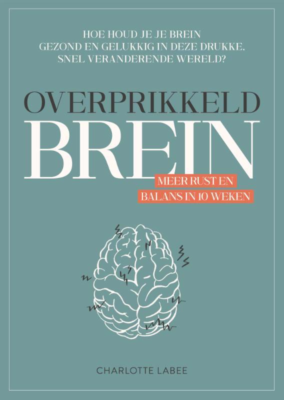 De voorkant van het boek met de titel : Overprikkeld brein