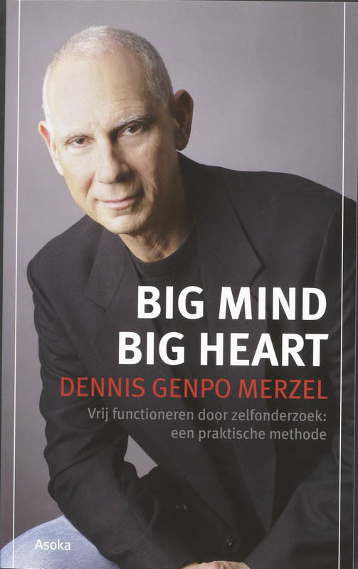 De voorkant van het boek met de titel : Big Mind