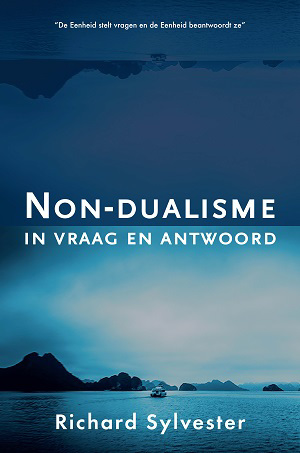 De voorkant van het boek met de titel : Non-dualisme in vraag en antwoord