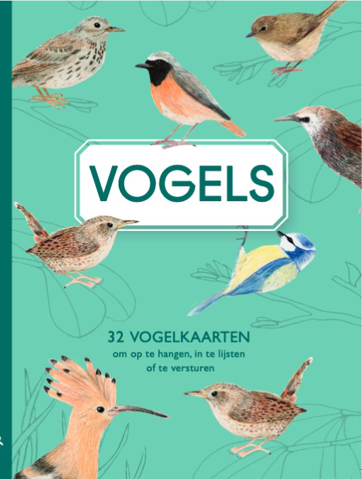 De voorkant van het boek met de titel : Vogels